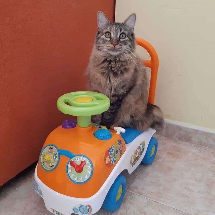 Kurilian
